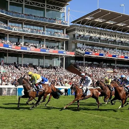 Stylish In - Free Wifi & Parking - Close To Racecourse & Centre Daire *